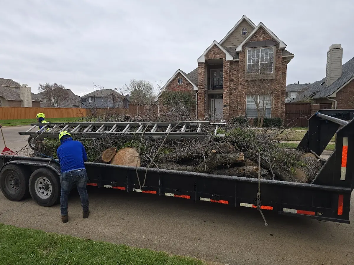 Expert Tree Fertilization with proper safety equipment in Ostrander